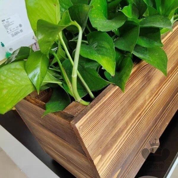 免運【宅配免運】原木種菜盆正方形木箱天臺種植箱杉木種菜神器定製木花