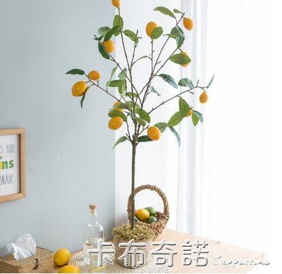 仿真綠植盆栽室內假檸檬樹ins客廳落地擺件裝飾北歐假花植物 樂樂百貨