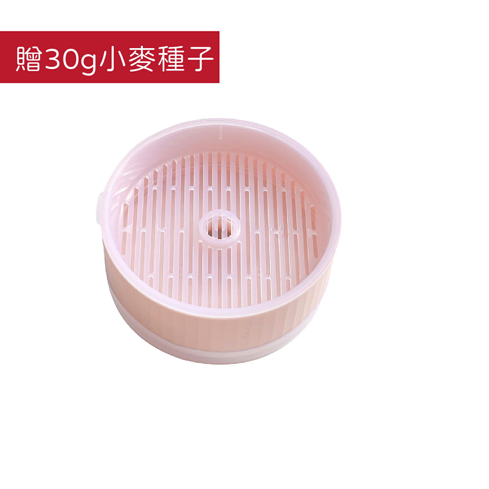 撞色貓草水培盒 貓草Diy 水培貓草盒 無土貓草盒 水培器 種貓草盆 貓草 貓草種植 小麥草【230510】 0