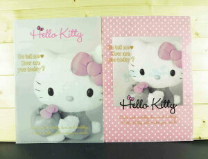 【震撼精品百貨】Hello Kitty 凱蒂貓 2入文件夾 寫真 震撼日式精品百貨