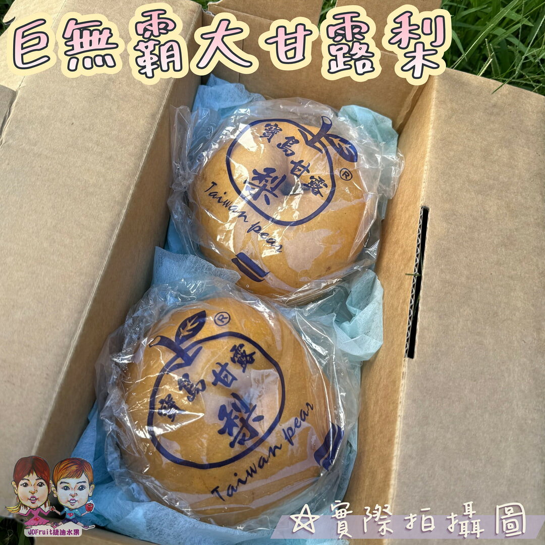 【緁迪水果JDFruit】巨無霸寶島甘露梨2入裝 l 中秋送禮 台中東勢自產自銷 2