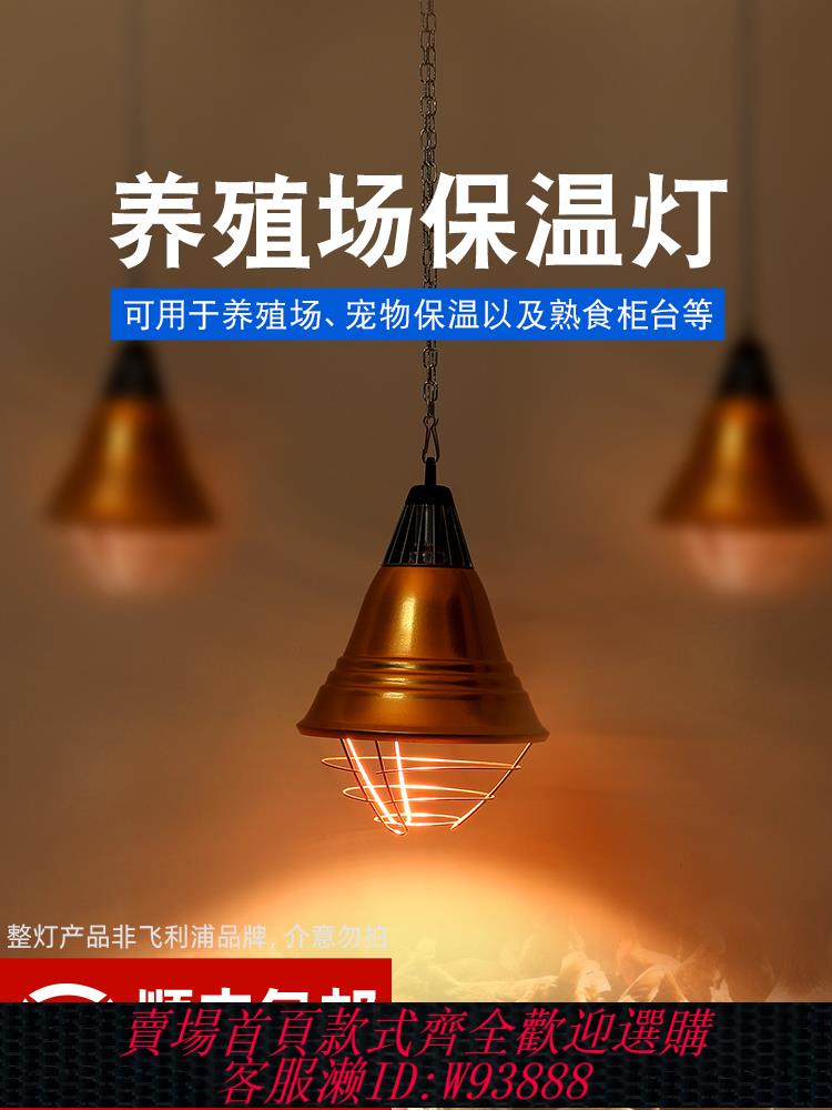飛利浦養殖取暖加溫保溫燈泡150W 250W保溫畜牧牲畜小雞豬仔加熱