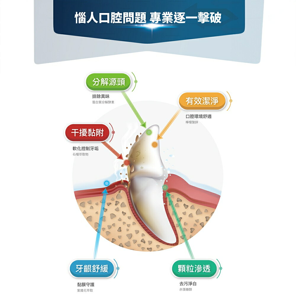 ＵＴＯ｜ 木入森 犬寶固齒麗 專業獸醫推薦 4