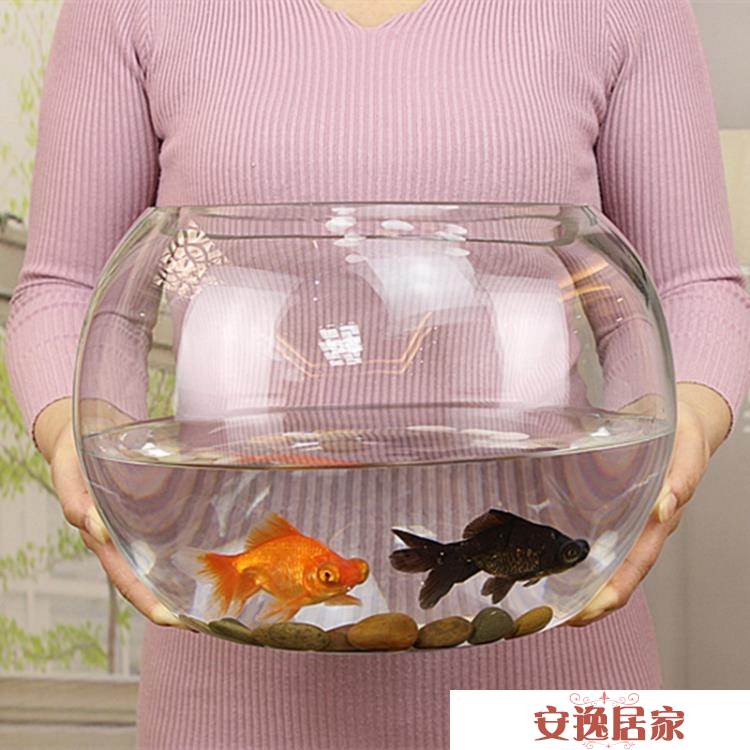 金魚玻璃 22年10月 Rakuten樂天市場