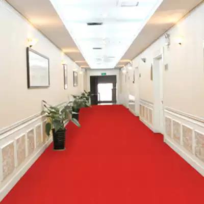 防滑墊PVC塑膠紅地毯化妝室廁所門墊S大面積浴室防水廚房防滑地墊 雙11全館免運