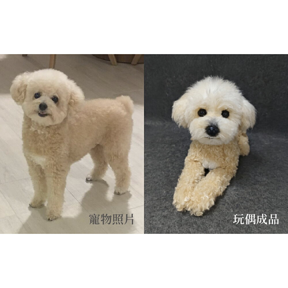 客製化 擬真寵物玩偶 1