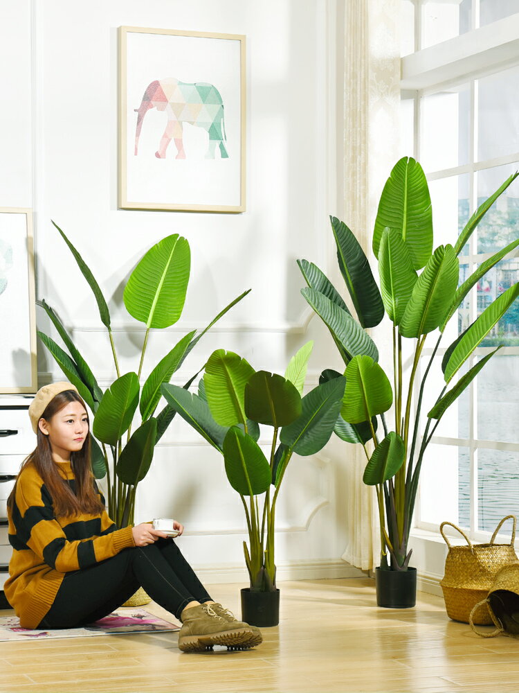 仿真旅人蕉植物落地天堂鳥室內ins風裝飾假盆栽北歐綠植大型擺件