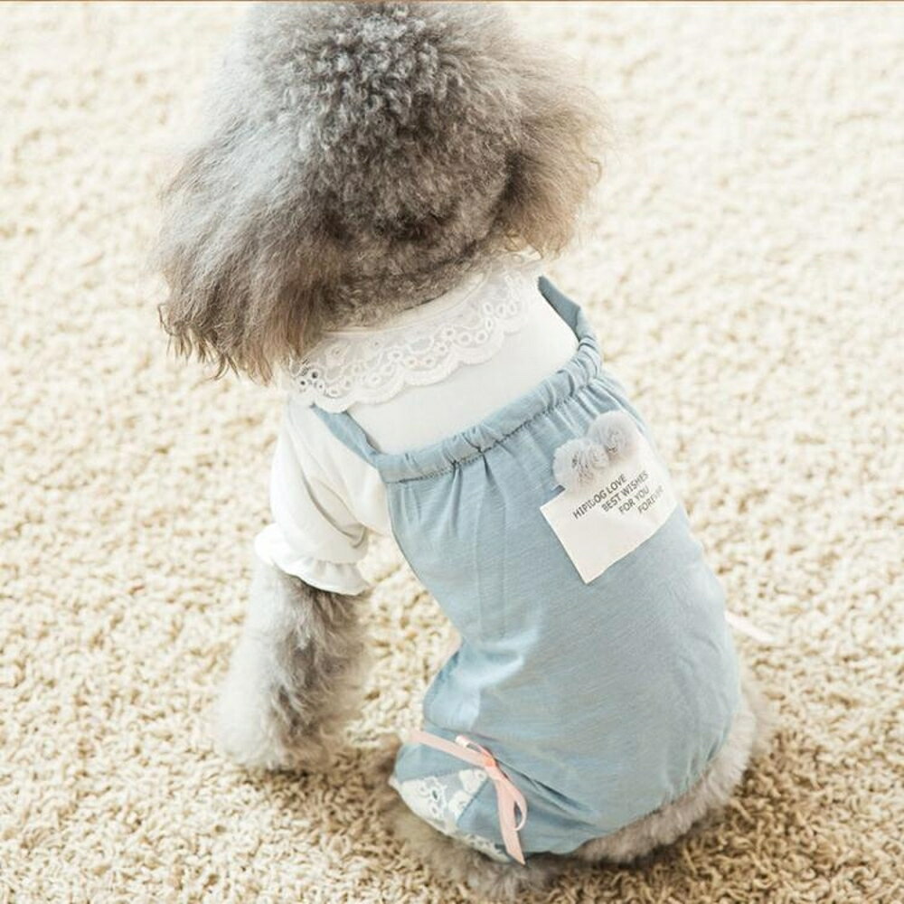 蕾絲花邊打底衫泰迪四腳衣小狗狗衣服秋裝博美比熊小型犬春秋薄款