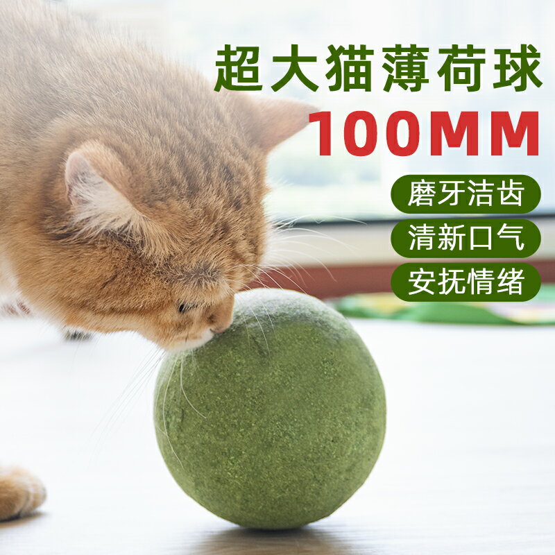 自動逗貓球 逗貓神器 電動老鼠 自動逗貓球 貓咪玩具智能 電動貓玩具自嗨解悶神器滾滾自動溜貓球【MJ26215】 7