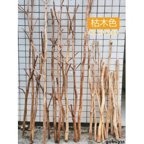 樹幹 樹枝 裝飾樹枝 帶叉天然幹樹枝 樹裝飾屏風背景墻原木枯枝北歐隔斷店鋪櫥窗造景新品免運