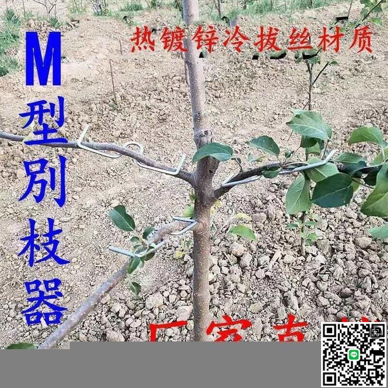 【千羽家居】促銷中~果樹拉枝器開角器側枝枝條壓彎定型器型別枝器果樹綁枝器（農業）