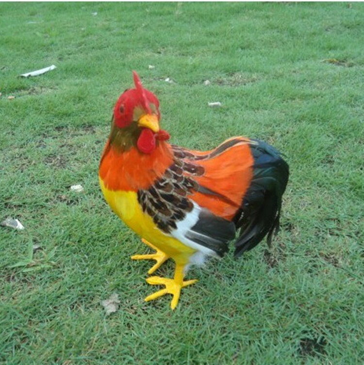 教學素材 模擬公雞 羽毛動物 模擬雞 動物模型家居擺件