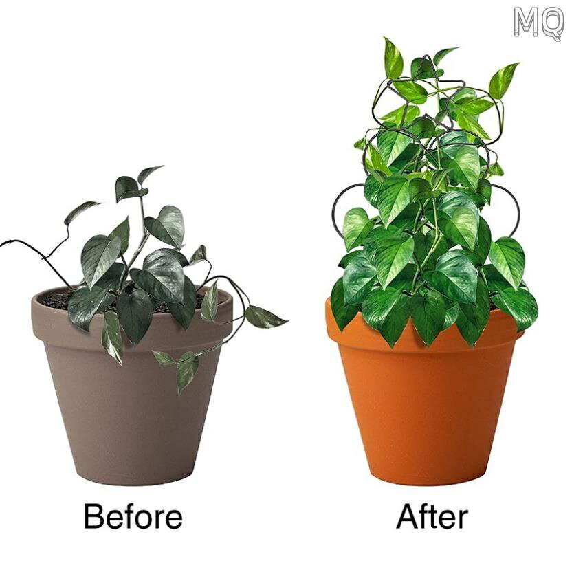 全新 花園植物支架 花架 攀爬架 爬藤架 陽臺花架 盆栽架 園藝 葡萄 網架 植物架 室內盆栽插花支架 金屬盆栽鐵藝園藝 7