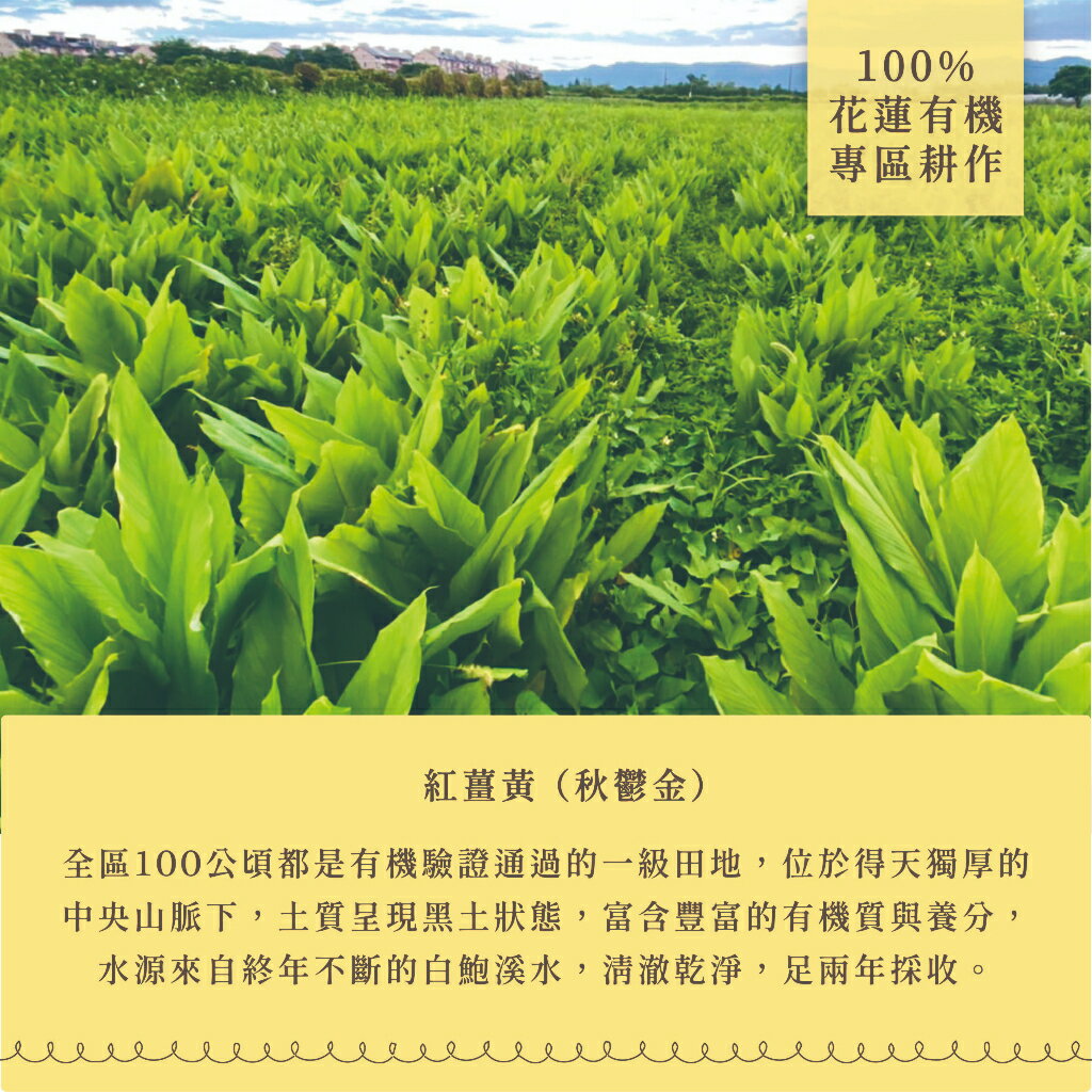 有機紅薑黃粉⎪淺草堂直營店⎪純天然無添加⎪易開罐裝⎪真心推薦 4