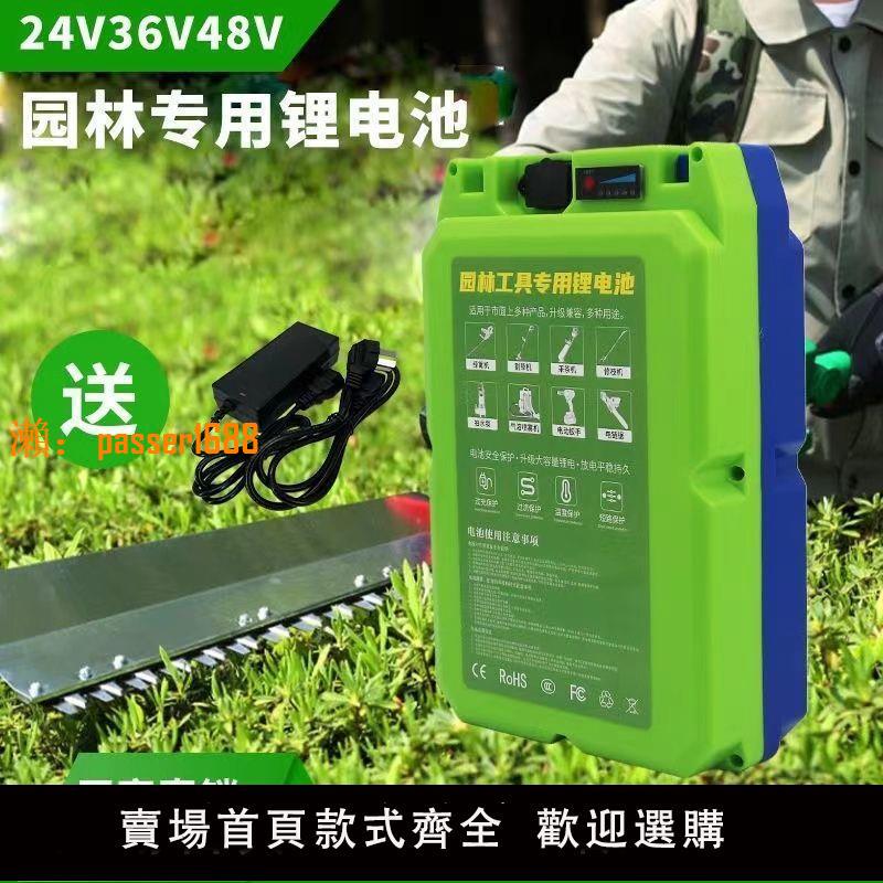 【可開發票】12伏24V綠籬機采茶機電鋸抽水泵園林背負鋰電池48V大容量割草機