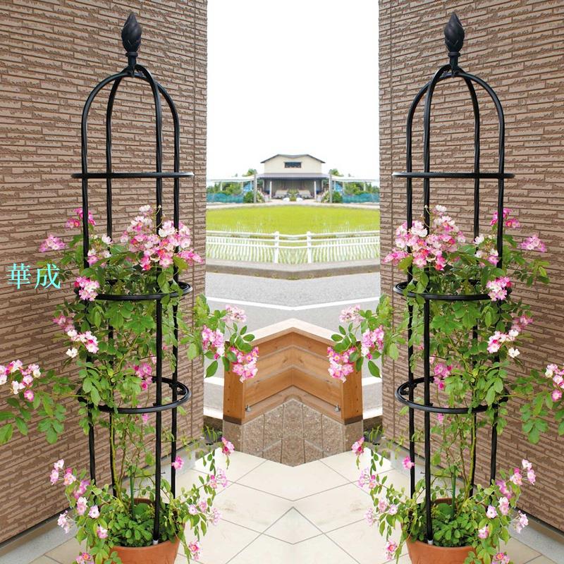免運 加粗款月季爬藤架花園庭院戶外陽臺花架園藝植物鐵線蓮玫瑰花攀爬 華成 樂天市場rakuten