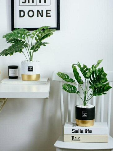 假花盆栽北歐仿真植物裝飾品盆栽ins綠植龜背葉擺件綠色室內電視櫃小盆景 名創優選直營店 樂天市場rakuten 假花盆栽北歐仿真植物裝飾品盆栽ins綠植龜背葉擺件綠色室內電視櫃小盆景 名創優選直營店 樂天市場rakuten