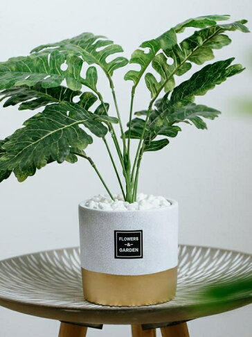 假花盆栽北歐仿真植物裝飾品盆栽ins綠植龜背葉擺件綠色室內電視櫃小盆景 名創優選 Rakuten樂天市場 假花盆栽北歐仿真植物裝飾品盆栽ins綠植龜背葉擺件綠色室內電視櫃小盆景 名創優選 Rakuten樂天市場