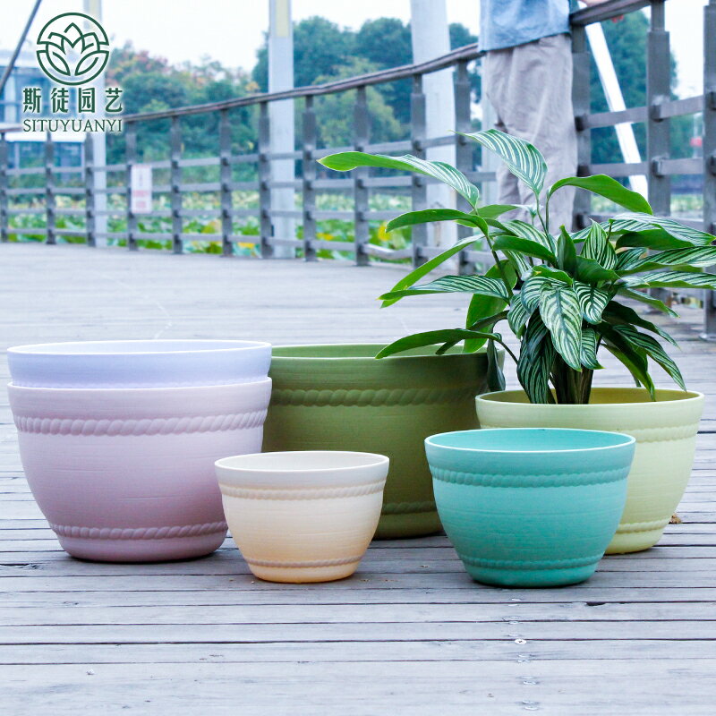 絢妍園藝愛麗思彩色碗型圓形塑料彩色花盆大號簡約綠植愛麗絲花盆