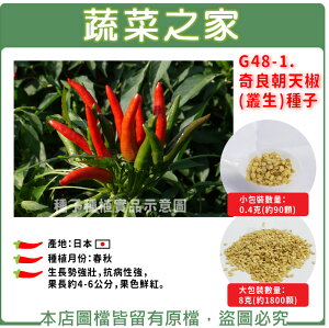 【蔬菜之家】G48-1.奇良朝天椒(叢生)種子(共有2種包裝可選)