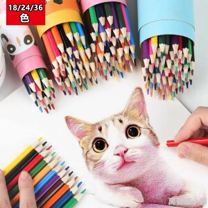 彩色鉛筆 多色，12色、18色、24色、36色，不挑色。紙桶裝。筒裝色鉛筆，繪畫鉛筆，素描，兒童色鉛筆
