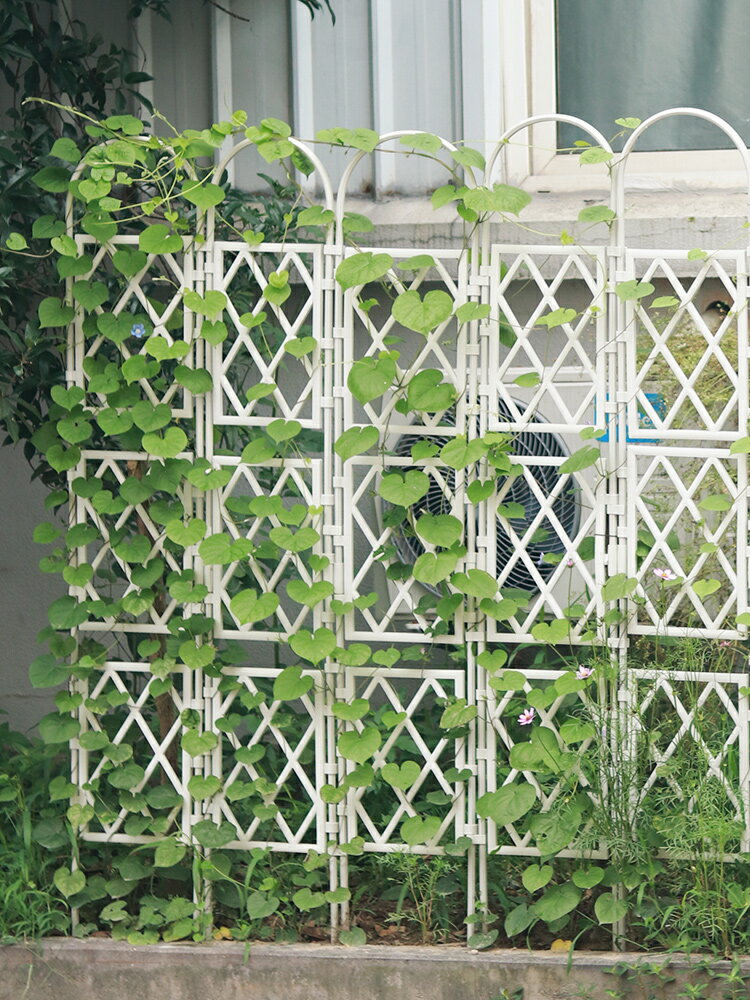 歐式鐵藝花架屏風植物爬藤架鐵線蓮陽臺月季花支架子戶外花墻網格