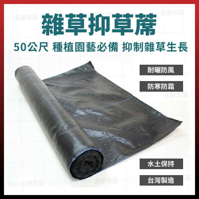 米田感冒藥 庭院 花草與園藝 22年6月 Rakuten樂天市場 米田感冒藥 庭院 花草與園藝 22年6月 Rakuten樂天市場