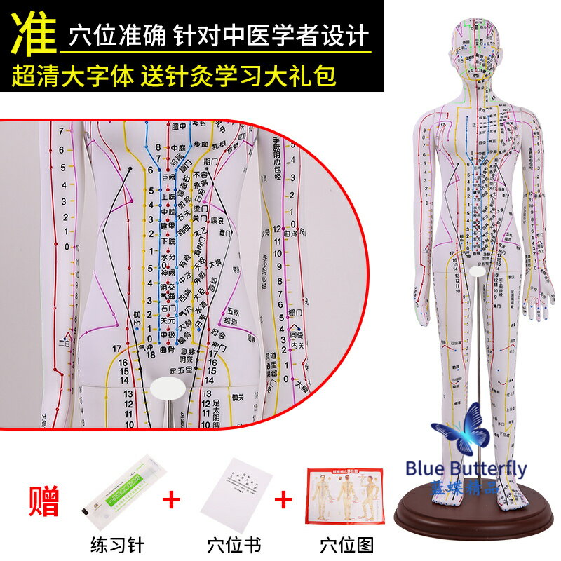 {可打統編 保固一年}針灸人體模型醫用扎針練習小皮人十二經絡穴位圖模特軟膠扎針練習 0