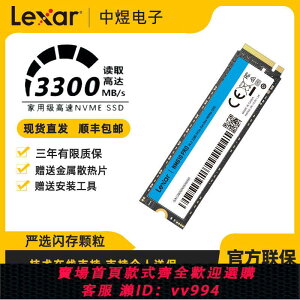 {公司貨 最低價}雷克沙SSD固態硬盤250G M.2接口 PCIe3.0x4讀速3300MB/s NM610PRO