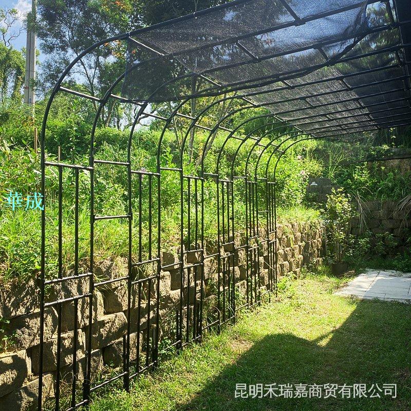 特惠#半邊拱門花架加高加粗葡萄架庭院園藝爬藤架花園拱形支撐桿攀爬架 m6qD LT5X