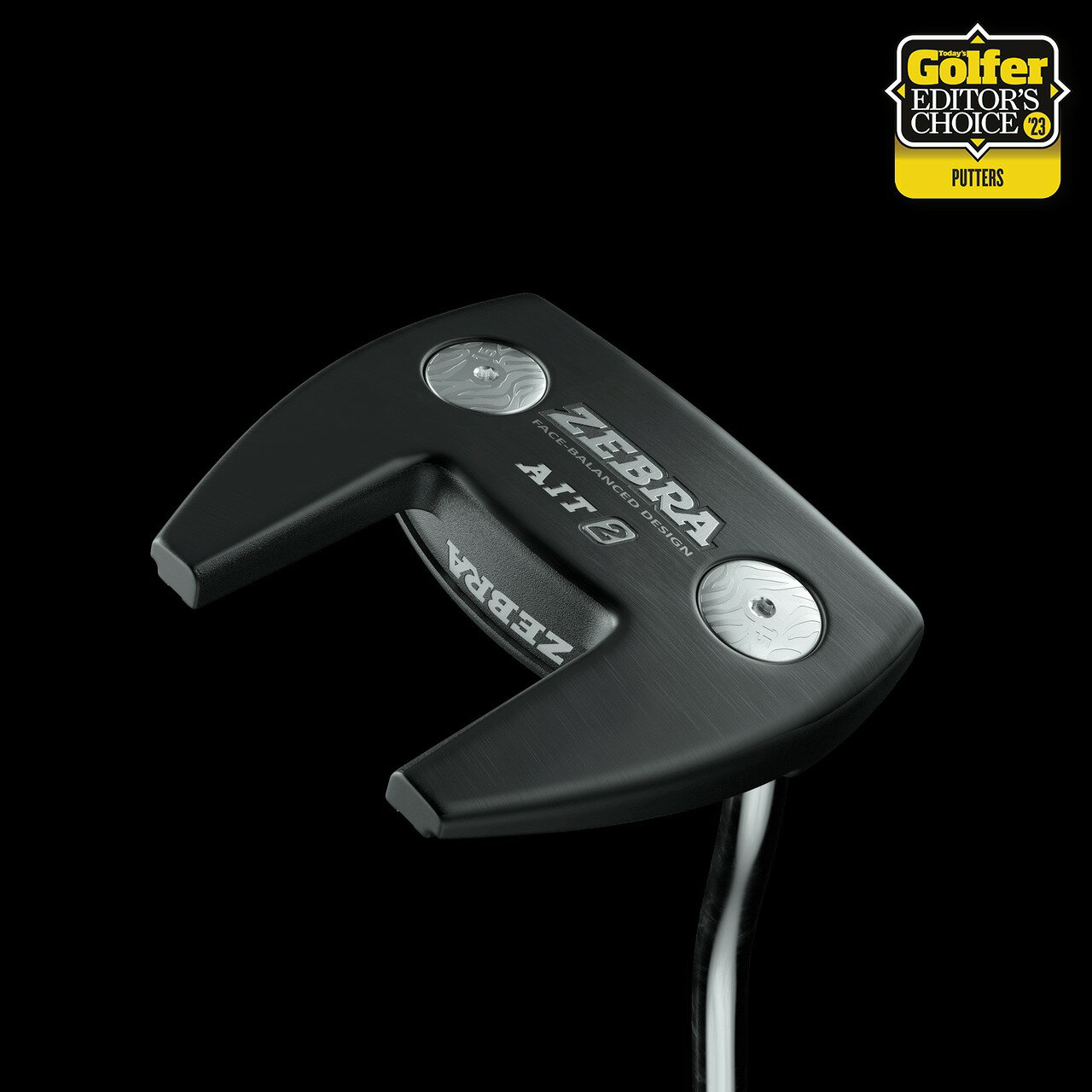 【Zebra GOLF】斑馬高爾夫推桿 AIT2 Zebra GOLF 高爾夫推桿 經典推桿 左手專區 美國原廠代理 【正元精密】