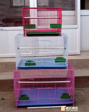 鳥籠金屬鳥籠鴿子相思鳥籠子鸚鵡籠兔子籠通用鳥籠群籠繁殖籠WY 雙十一購物節