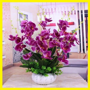 蝴蝶蘭仿真花套裝假花家居裝飾花藝擺件客廳擺放花絹花飾品 雙十一購物節