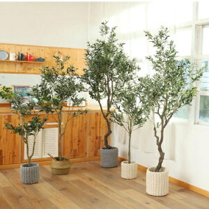仿真植物 ins北歐仿真綠植橄欖樹盆栽大樹植物家居辦公櫥窗裝飾擺件 雙十一購物節