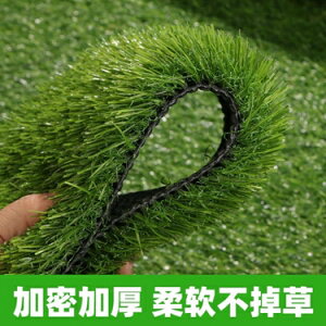 仿真植物 仿真草坪墊綠色假人造草皮足球場綠植戶外裝飾人工塑料幼兒園地毯 雙十一購物節