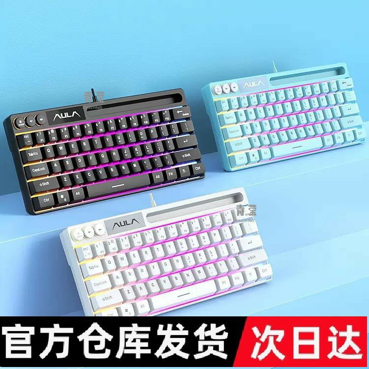 有線電競64機械遊戲迷膝上型電腦檯式手感小型鍵你F3061鍵盤