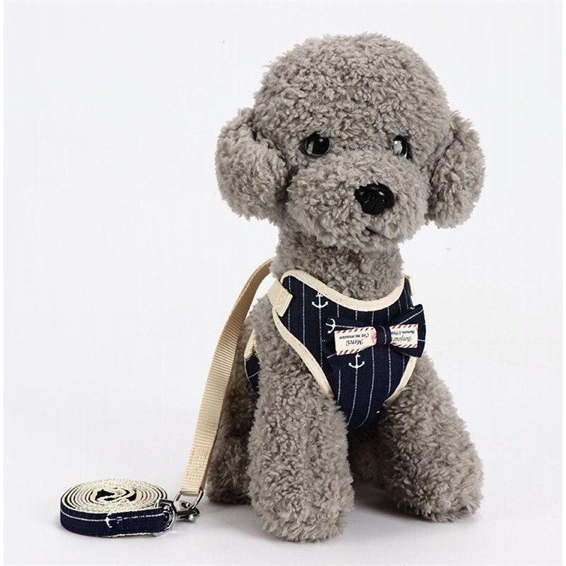 小型狗狗牽引繩胸背帶泰迪比熊小型犬背心式遛狗繩貓繩子寵物用品