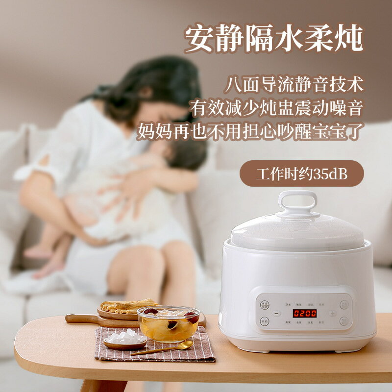 110v電燉鍋全自動隔水燉陶瓷電燉盅大容量家用煲湯新款燕窩多功能