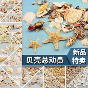 貝殼貼片 海螺配件diy手工顆粒材料創意幼兒益智禮物學校創作玩具