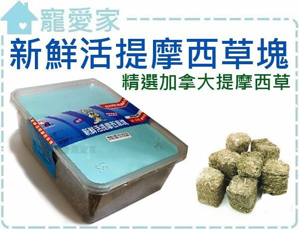 ☆寵愛家☆可超取☆聰明兔-新鮮活提摩西草塊-500g