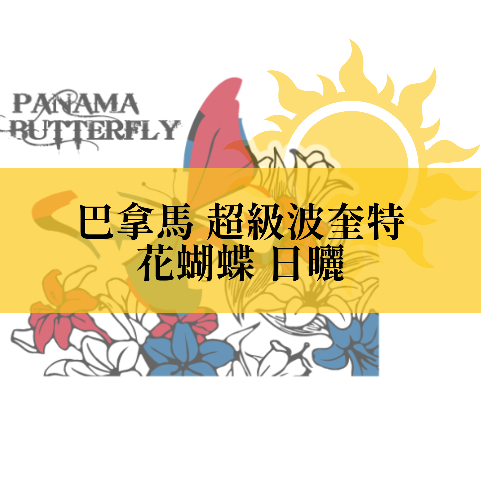 【咖啡匙 咖啡豆】巴拿馬 超級波奎特 花蝴蝶 日曬 120克/包（約1/4磅）