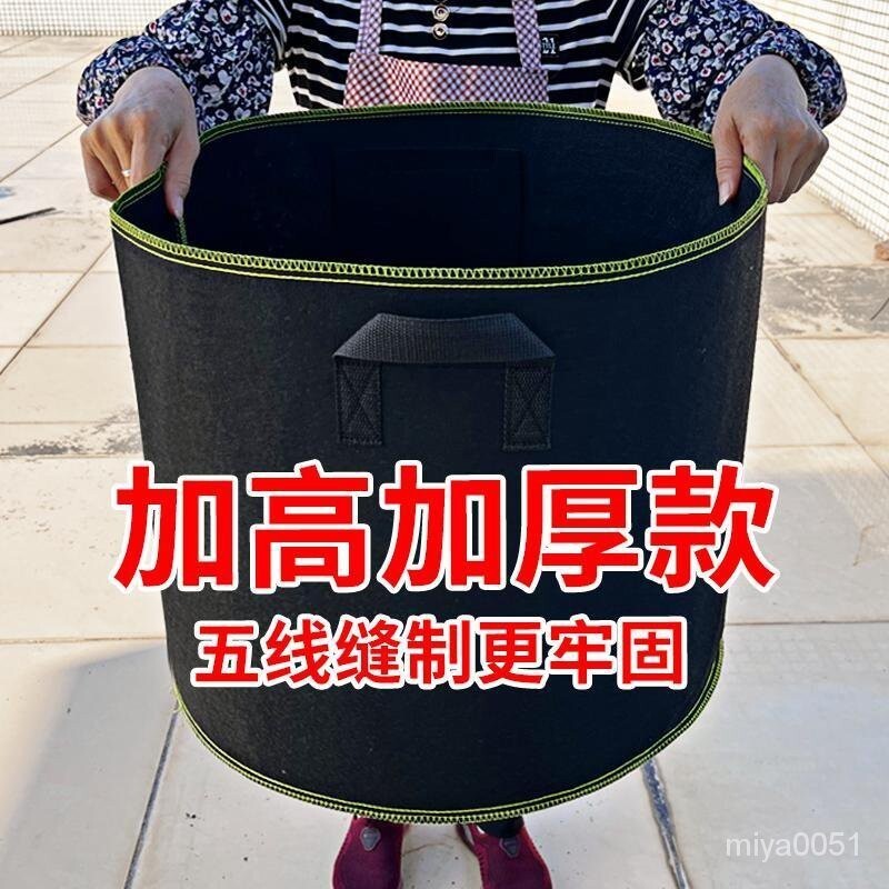 種美植袋加厚加高無紡佈透氣超特大花盆箱樓頂陽臺種果樹種花加固