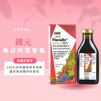 【鐵元250ml】植物液態鐵劑-德國草本補鐵配方Floradix 好吸收 女性補最佳補品 鐵元推薦 德國原裝進口-草本液 | 小瓢蟲生機坊直營 ...