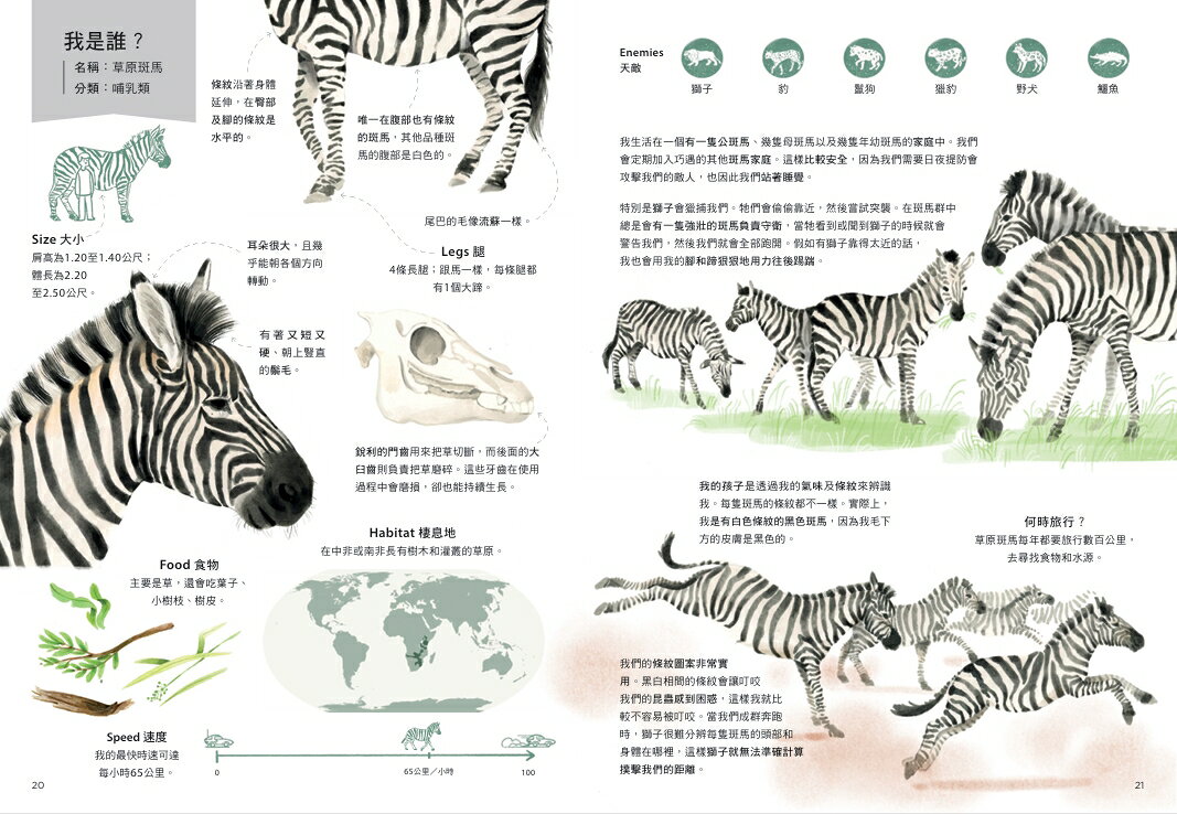 跟著動物去旅行〔動物繪本圖鑑3〕 4