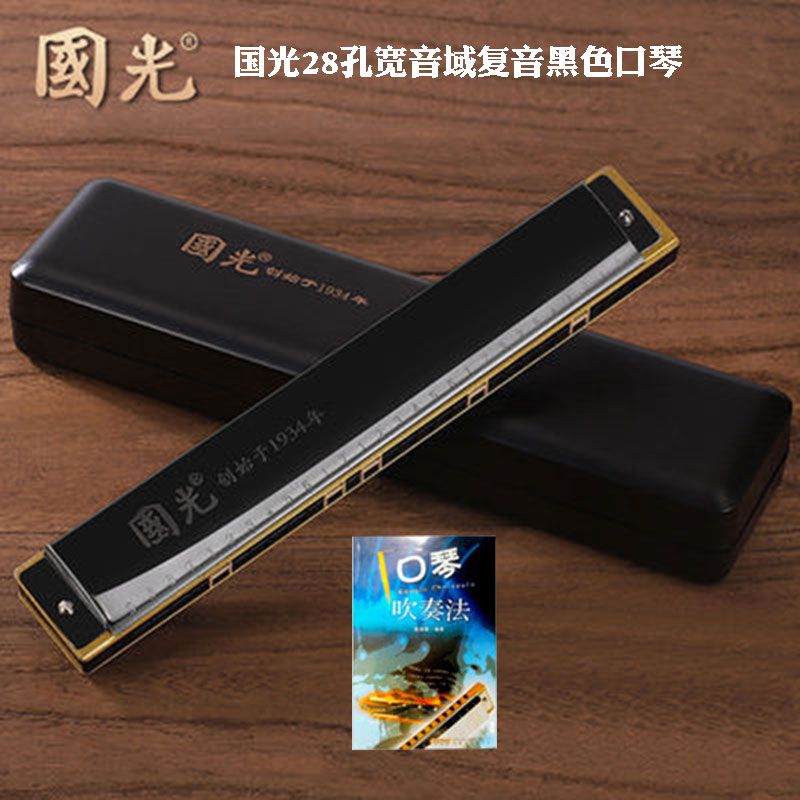 上海國光28孔復音c調口琴 初學者成人入門口琴三色harmonica樂器