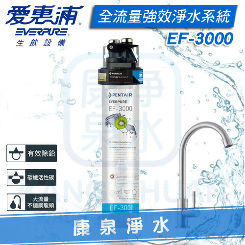 ◤免費安裝◢ EVERPURE 台灣愛惠浦全流量強效碳纖維系列淨水器 PURVIVE EF-3000