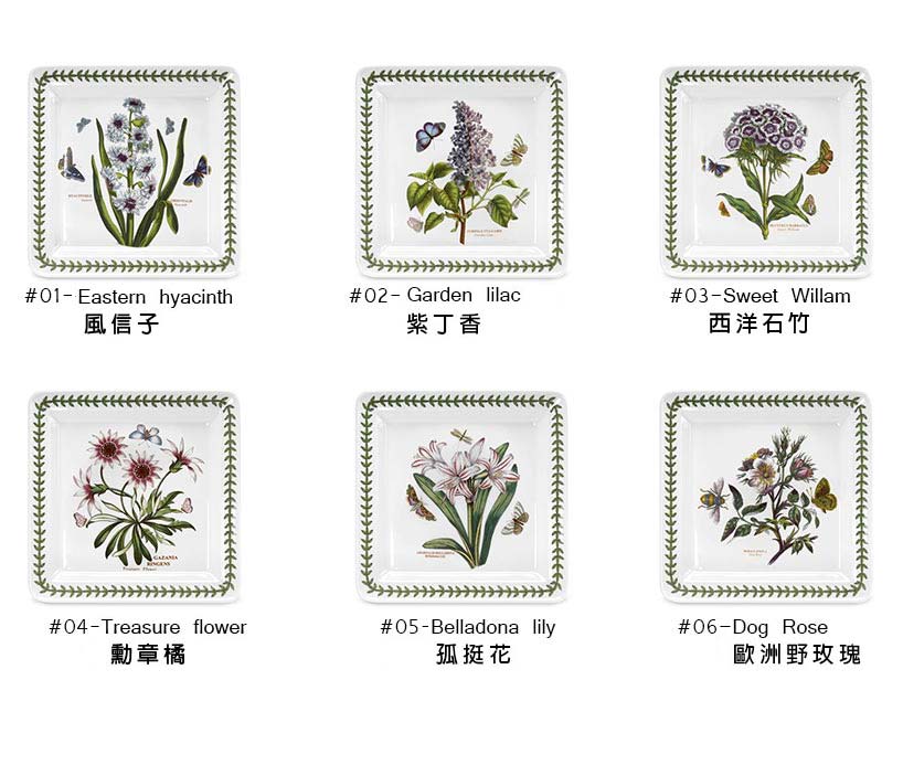 英國 Portmeirion-Botanic Garden 經典植物園系列 21CM(8.5吋)方盤6入組