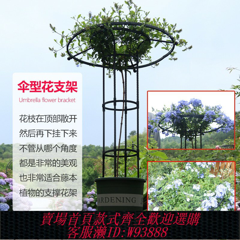 {臺灣公司貨 可打統編}園藝傘形花架爬藤架月季鐵線蓮攀藤蘑菇薔薇花架綠植支架桿戶外