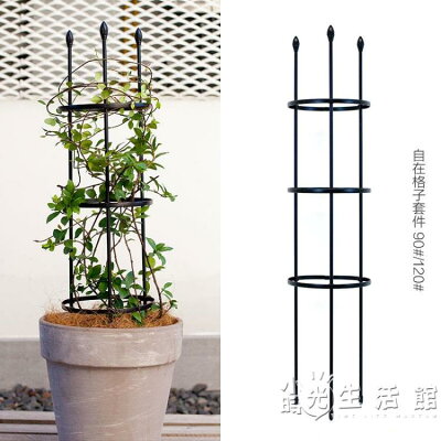 Muji 無印良品植物 人造花草 庭院 花草與園藝 22年10月 Rakuten樂天市場 Muji 無印良品植物 人造花草 庭院 花草與園藝 22年10月 Rakuten樂天市場