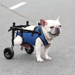 寵物用品 法斗狗狗貓咪輪椅泰迪巴哥后腿支架癱瘓殘疾車康復輔助推車助力車 可開發票